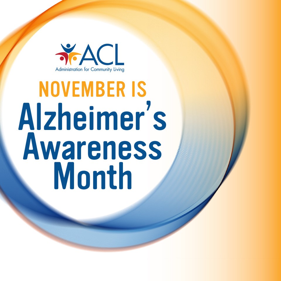 November is Alzheimer's Awareness Month