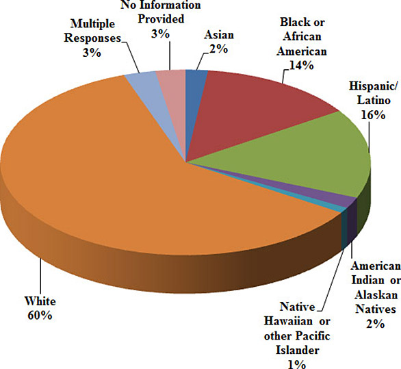 Pie chart of clients by Racial/Ethnic Background