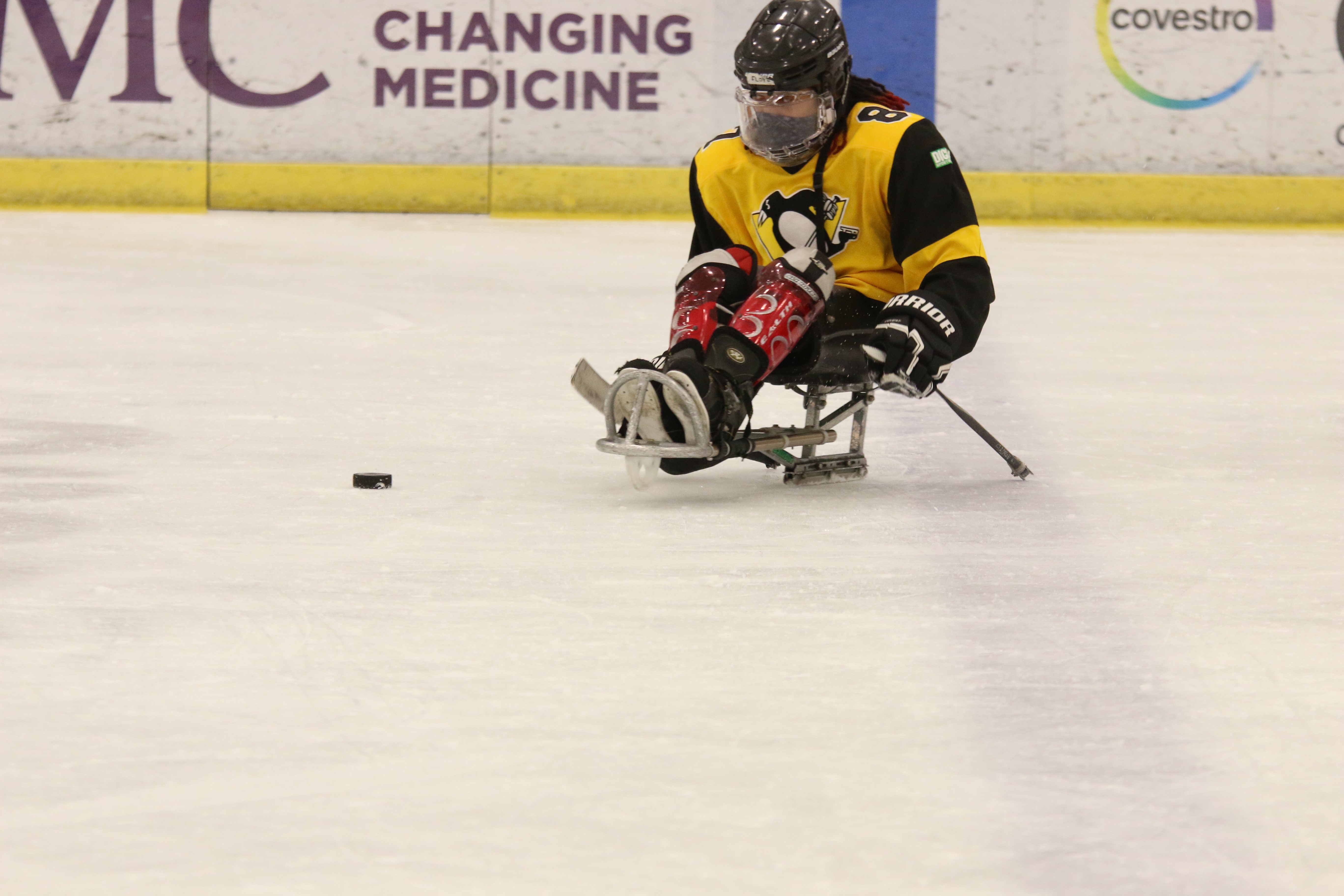A sled hockey player skates across ice towards the puck