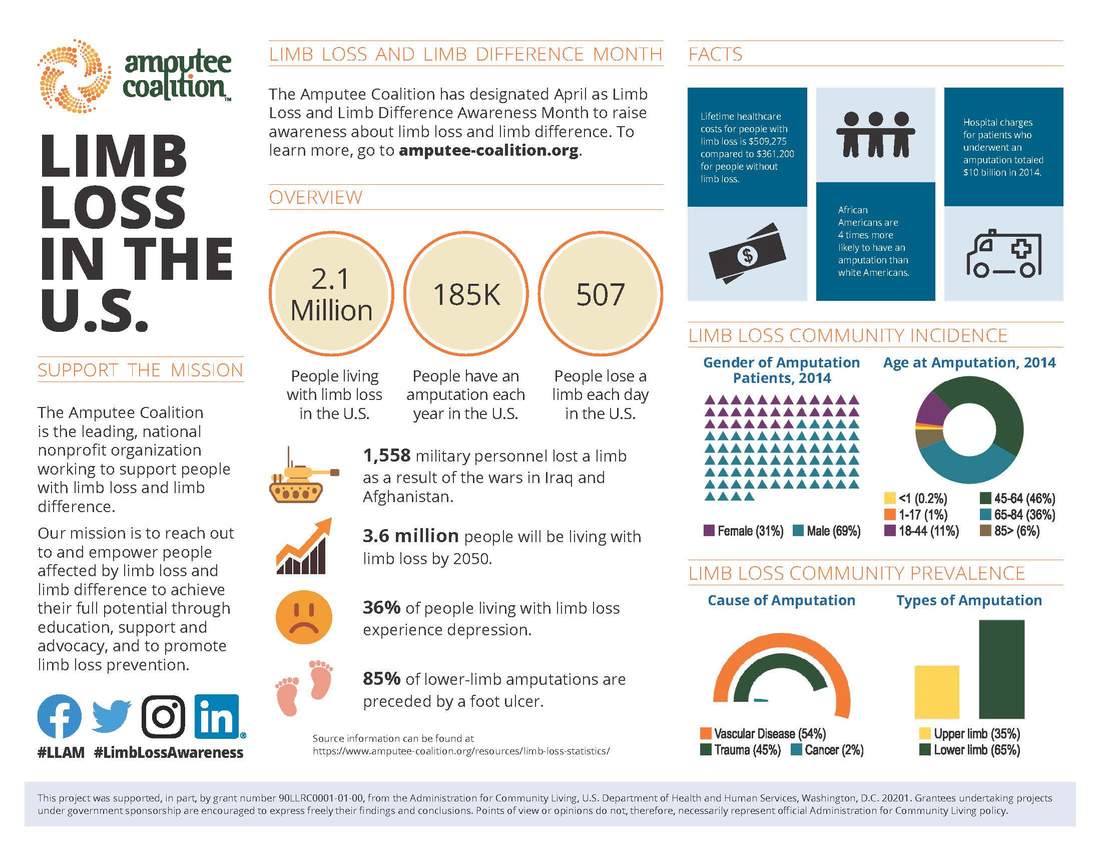 Limb Loss in the U.S. Infographic